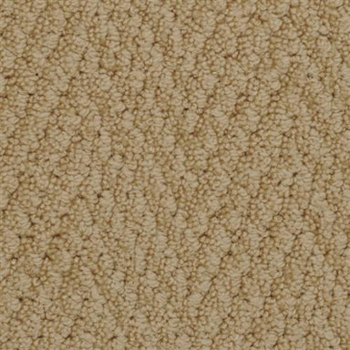 Bistango in Palomino Carpet