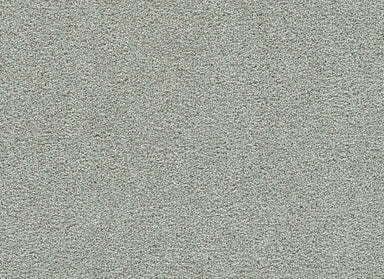 Clear Skies III in Pinetop Carpet