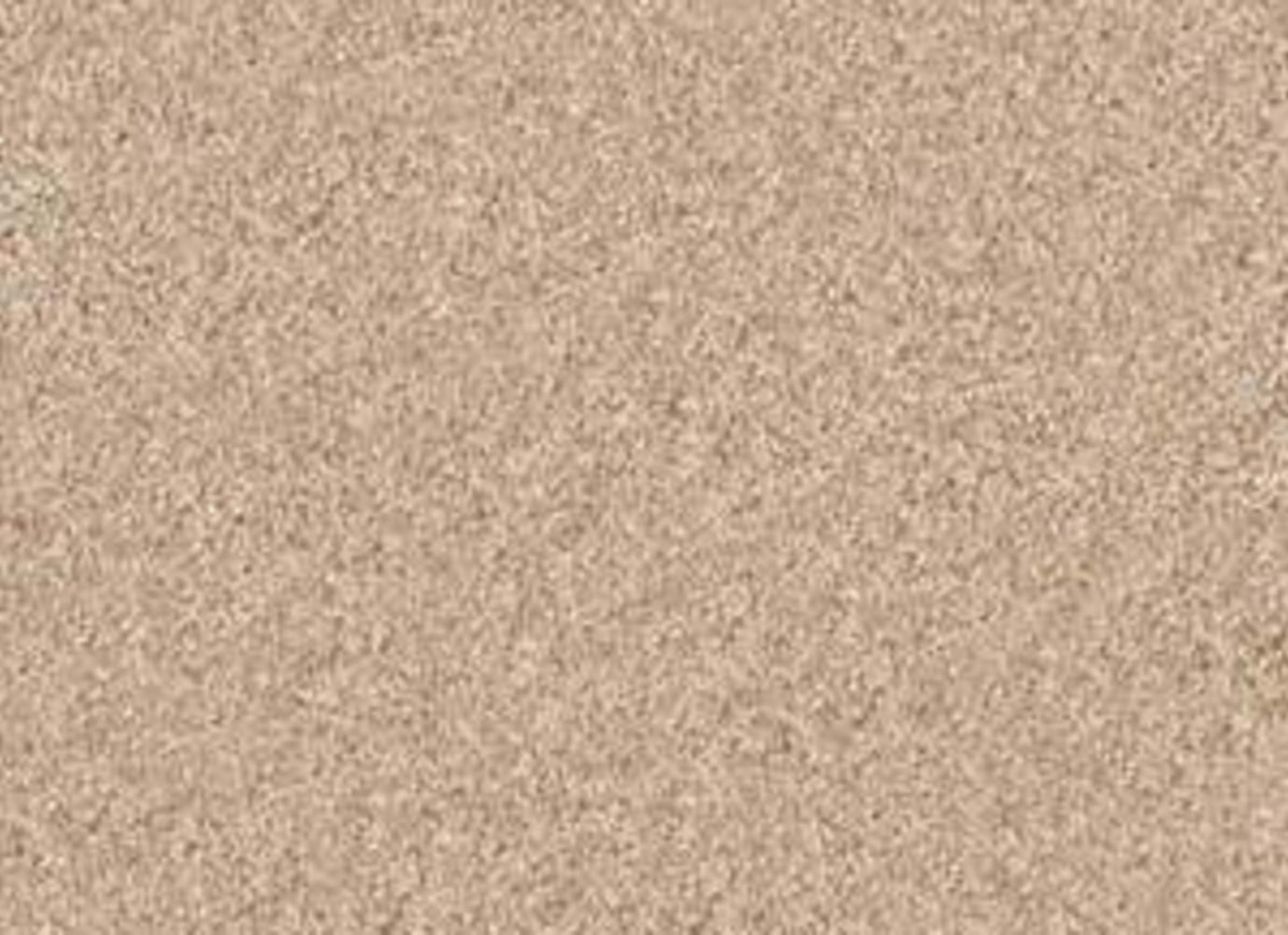 Woodsboro in Creamy Carpet