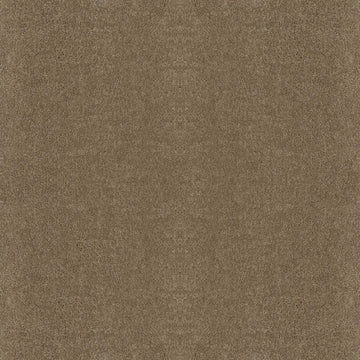Hearth Stone
