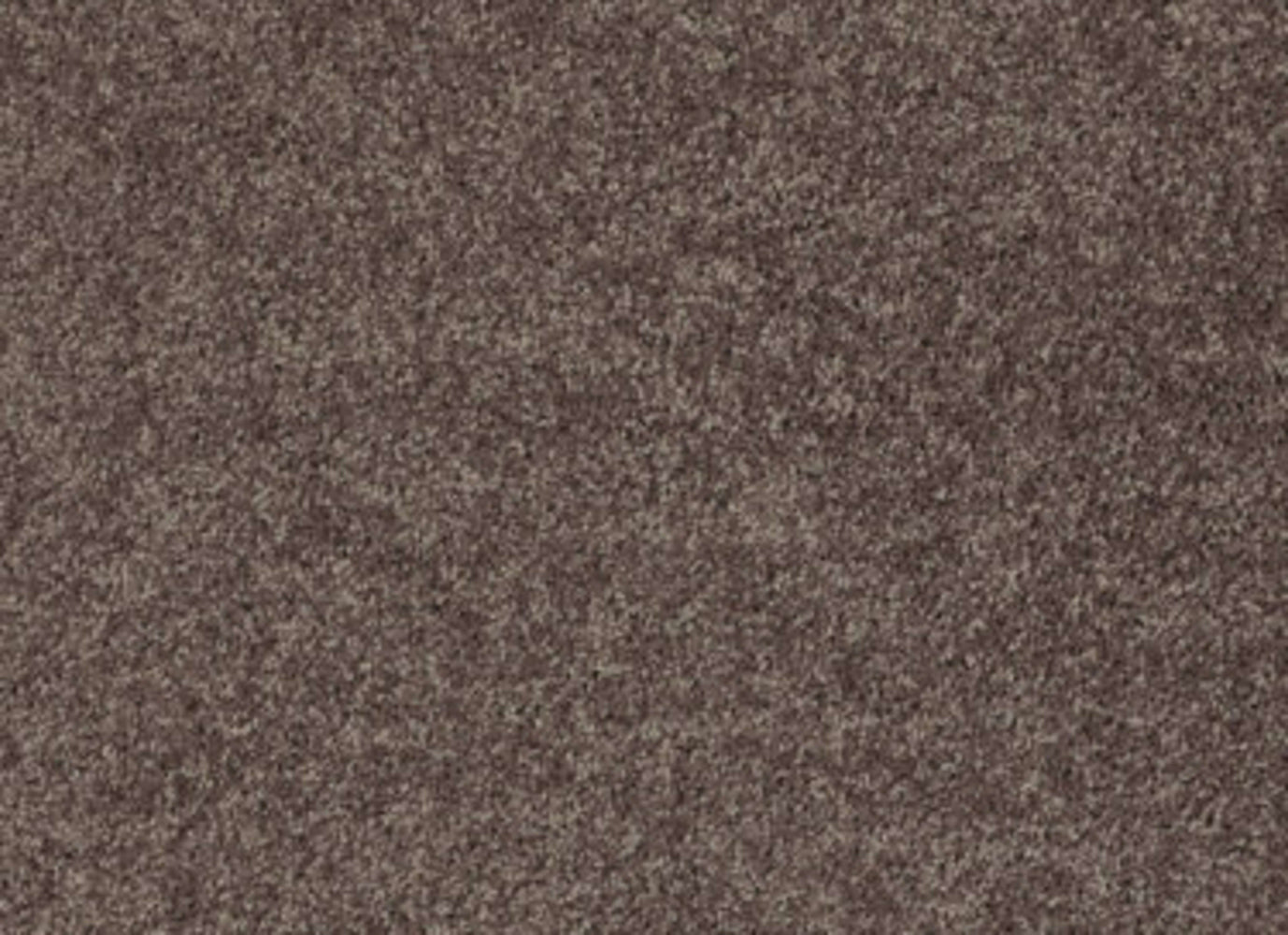 Full Court 15' in Molasses Carpet