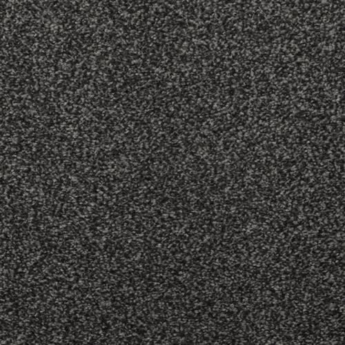 Spellbinding in Charcoal Carpet
