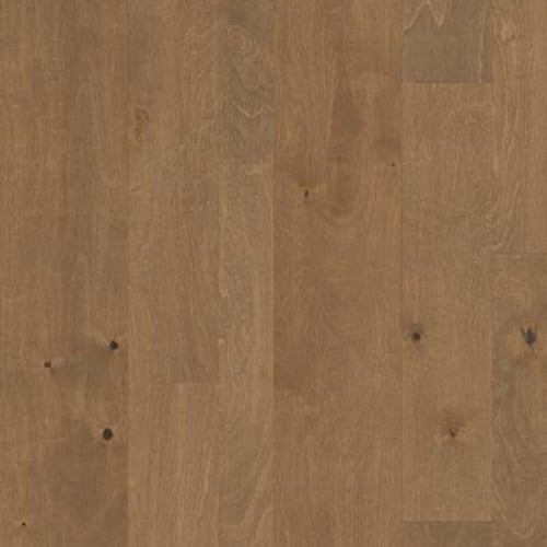 BAY TERRACE in Crescent Beach