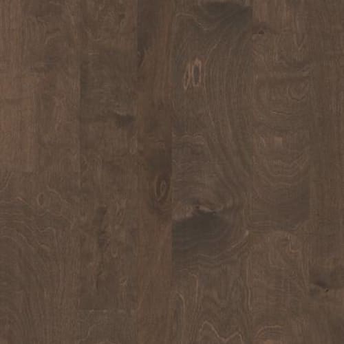 BAY TERRACE in Windsurf