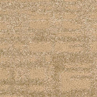 Chantrel in Tanner Carpet