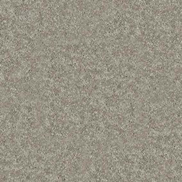 Taupe Mist