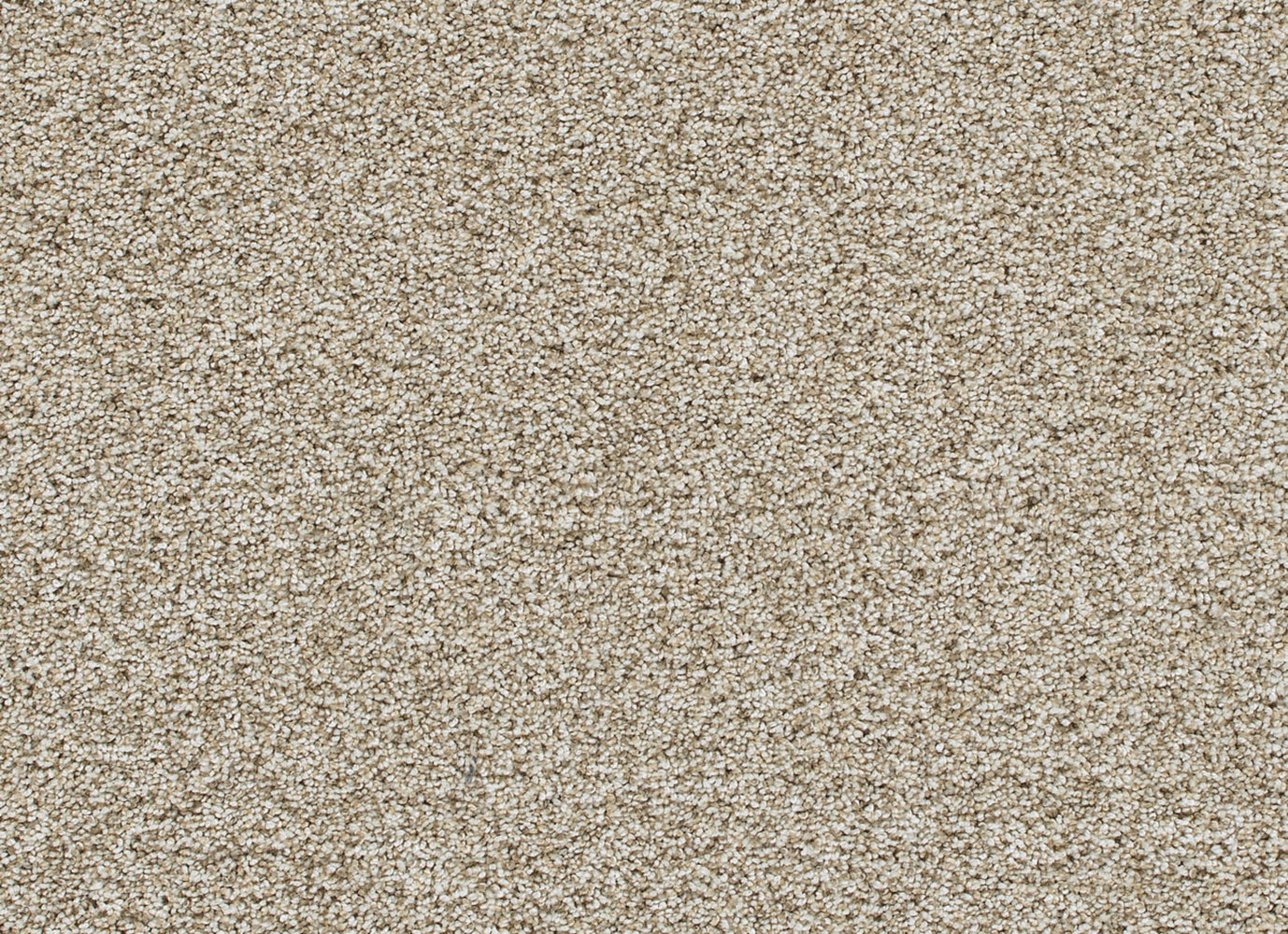 Reflections III in Seashells Carpet