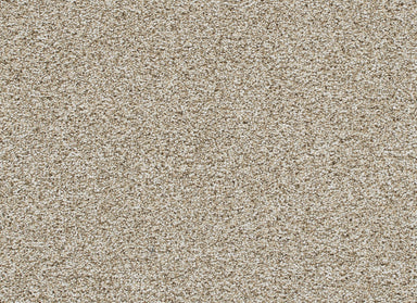 Reflections III in Seashells Carpet