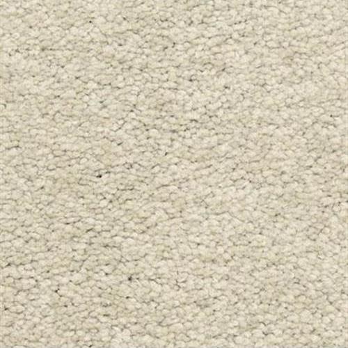 Cassina in Shaded Carpet