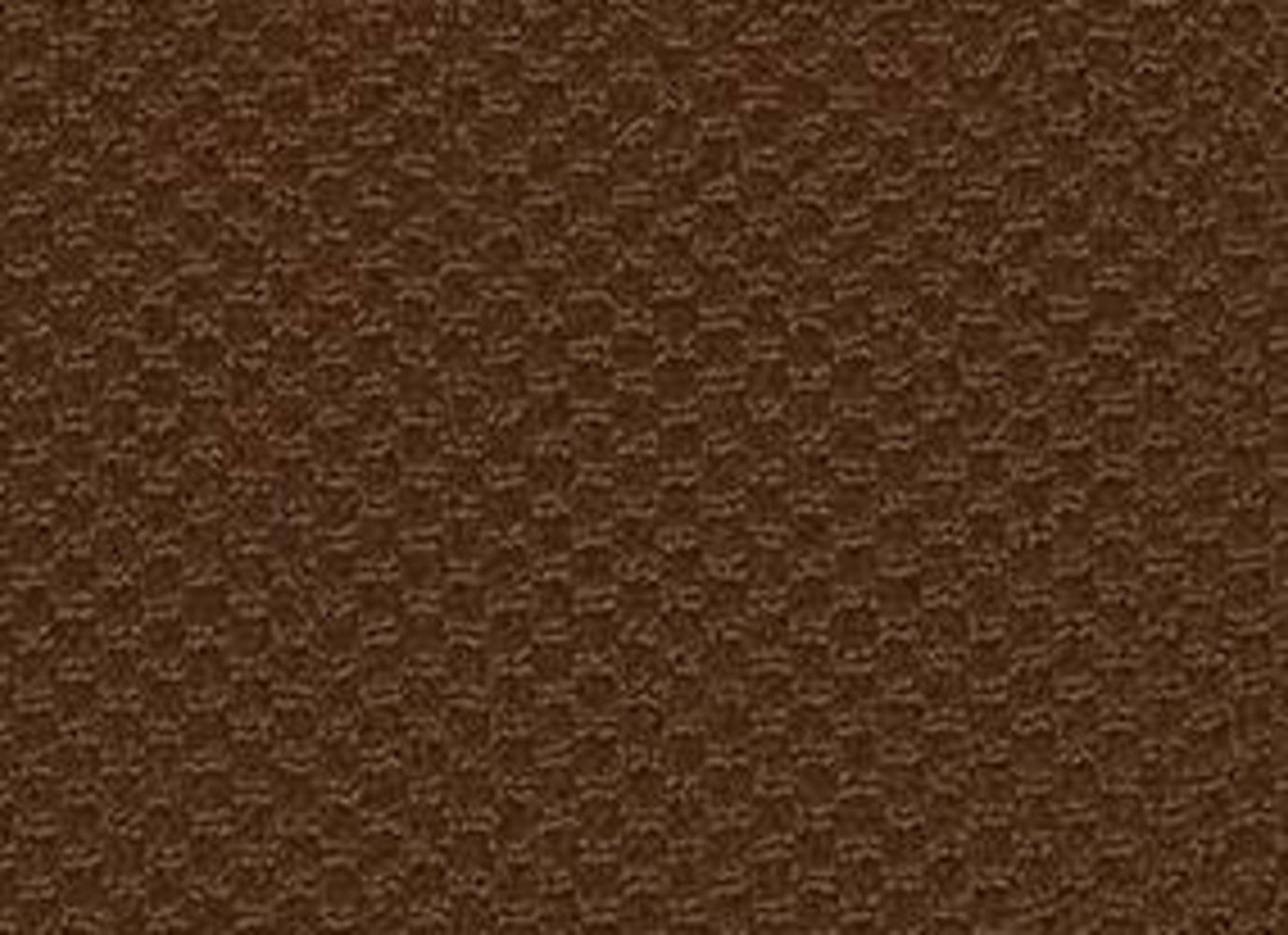 Latest Trend in Brown Bear Carpet