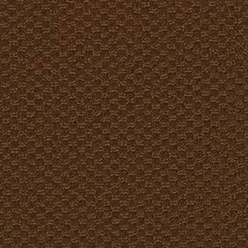 Brown Bear