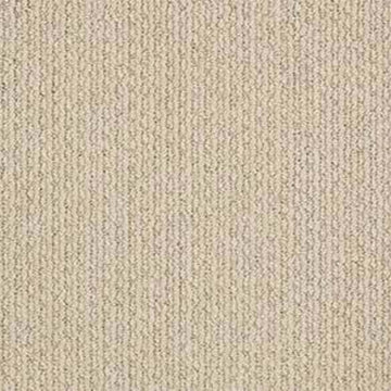 Chic Cream