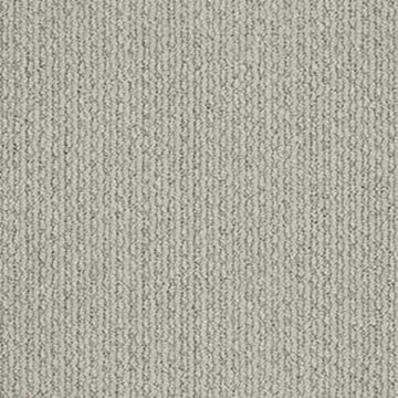 Gray Whisper