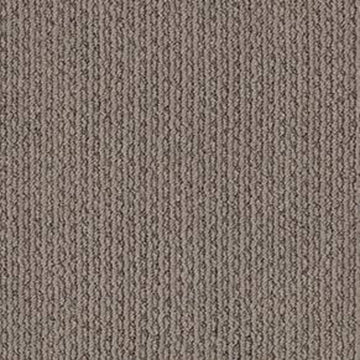 Simply Taupe
