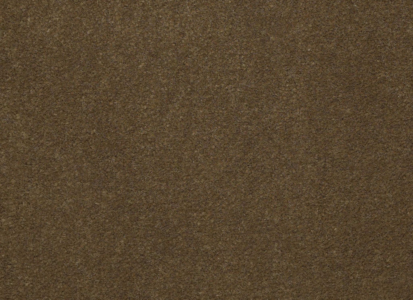 Emphatic II 36 in Sugar Maple Carpet