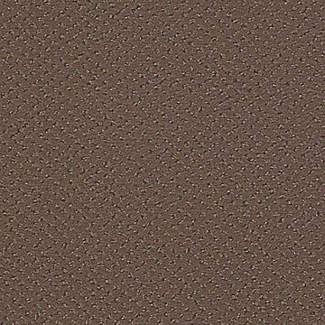 Riverbed
