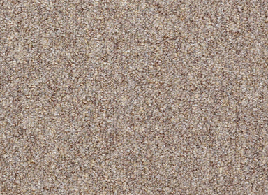 Capital III Bl in Justice Carpet