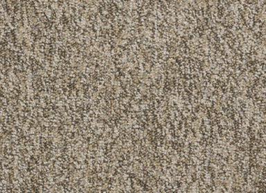 Sound Advice Bl in Make It Work Carpet