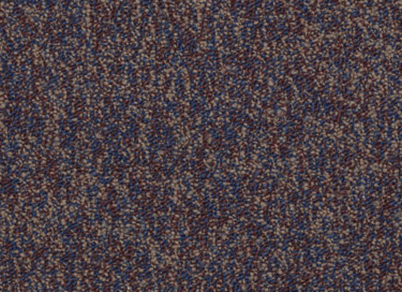 Sound Advice Tile in Exercise Carpet