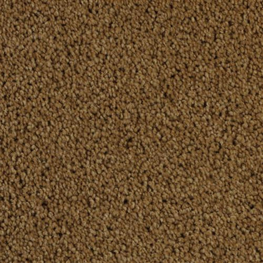 Delight in Rawhide Carpet