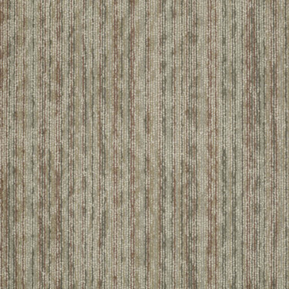 Amaze in Impress Carpet