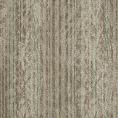 Amaze in Impress Carpet