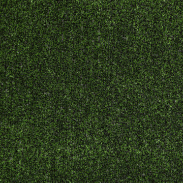 Holly Leaf