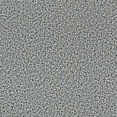 Arbor View (T) in Pavement Carpet