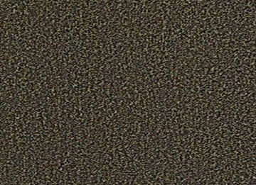 Walnut Shell