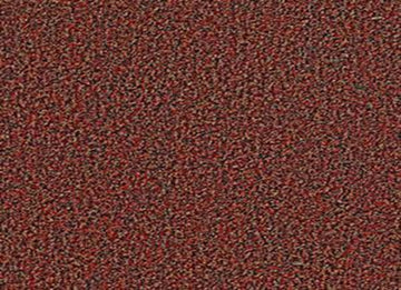 China Berry