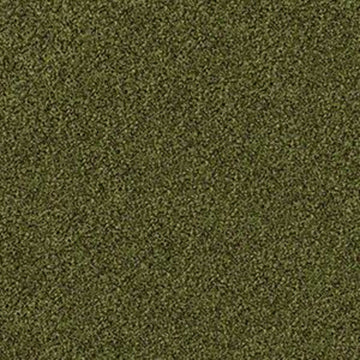 Mossy Bark