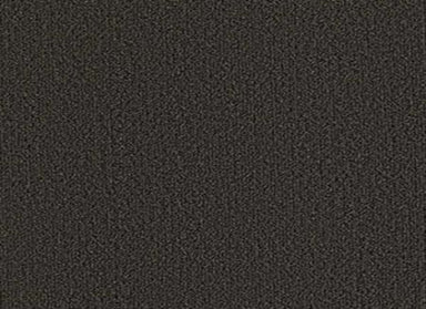 Outside Agenda in Woodsmoke Carpet