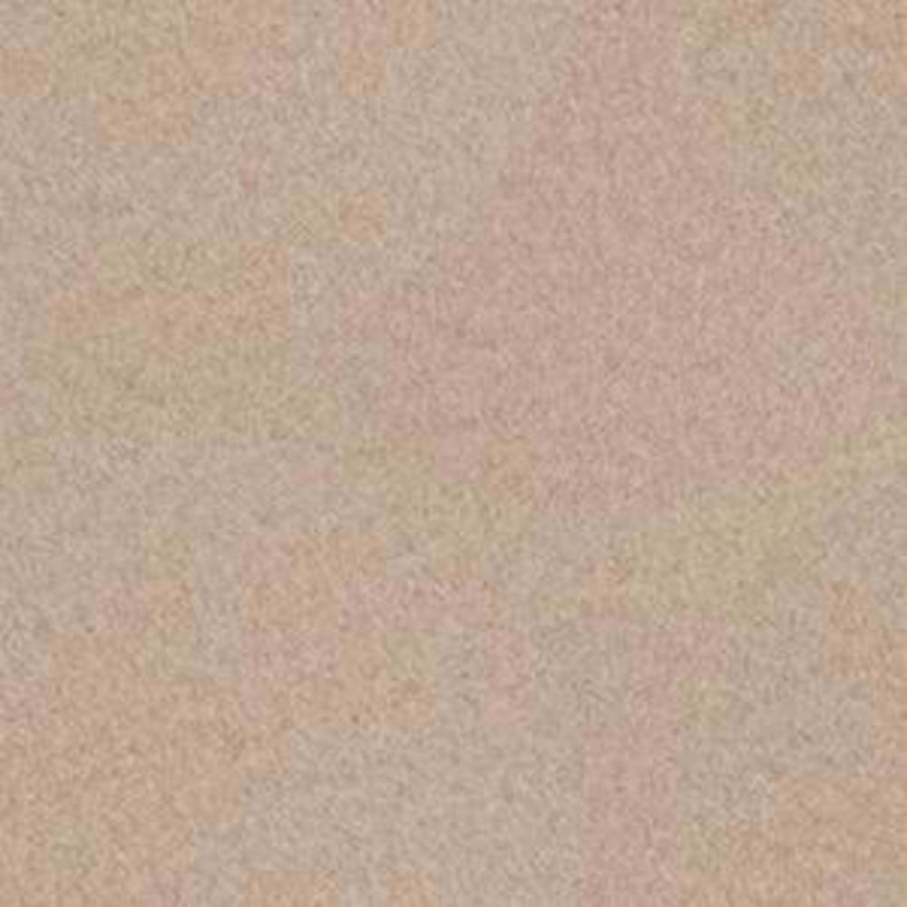 Backdrop II 6 in Natural Finish Carpet