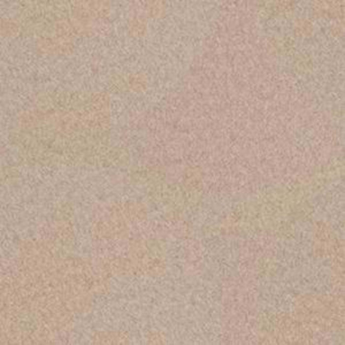 Backdrop II 6 in Natural Finish Carpet