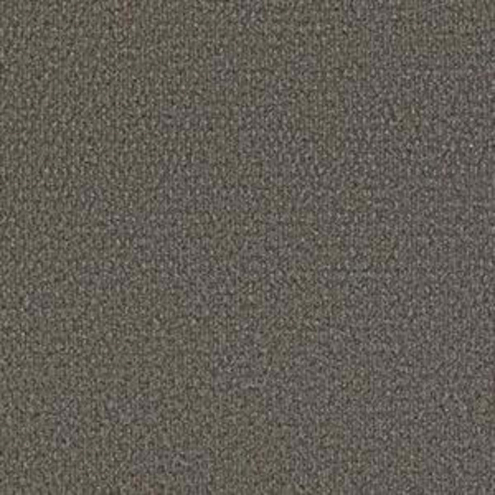 Bedecked in Driftwood Carpet