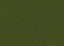 Intensify Unitary in Pine Green Carpet