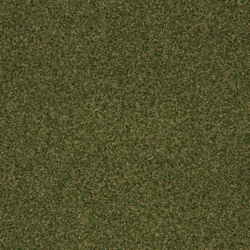 Sea Grass