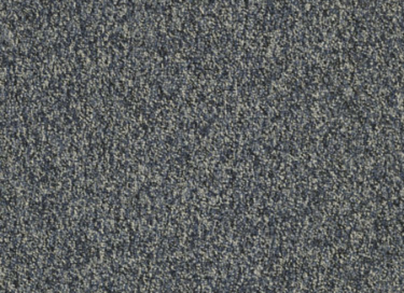 Franchise II 28 in Torrent Carpet