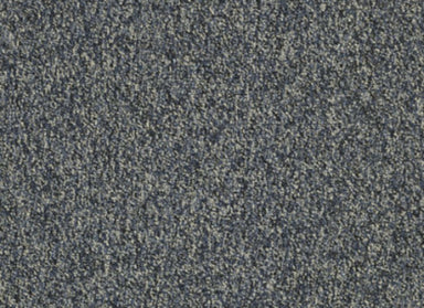 Franchise II 28 in Torrent Carpet