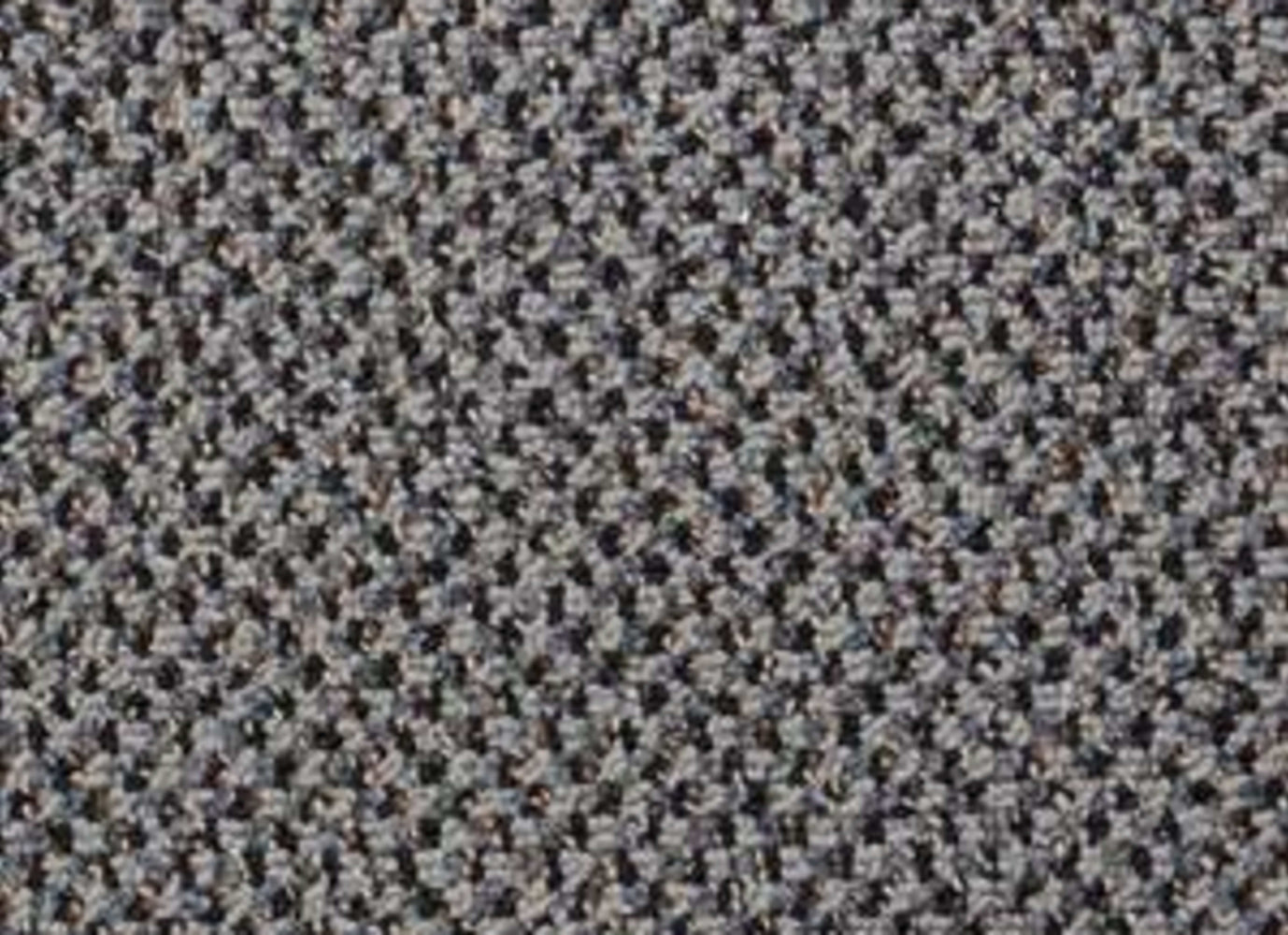 New Basics in Top Spot Carpet