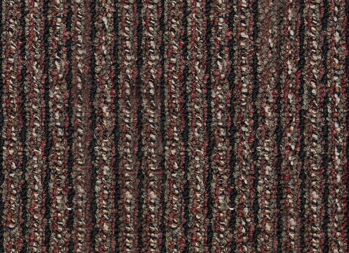 New Statement in Forward On Carpet
