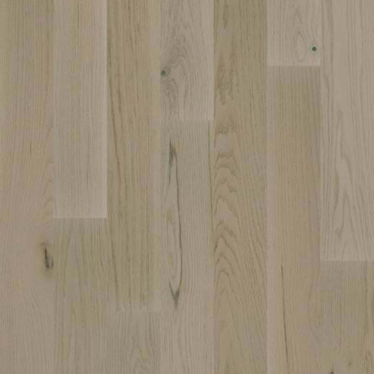 DANFORD OAK in Harbor