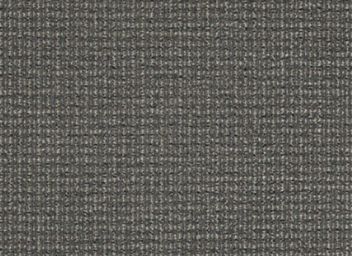 On The Move in To The Point Carpet