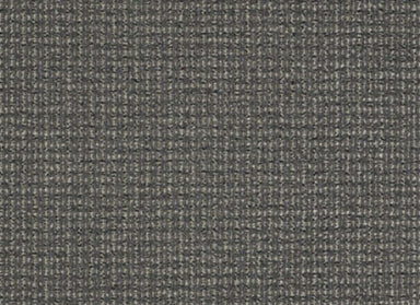On The Move in To The Point Carpet