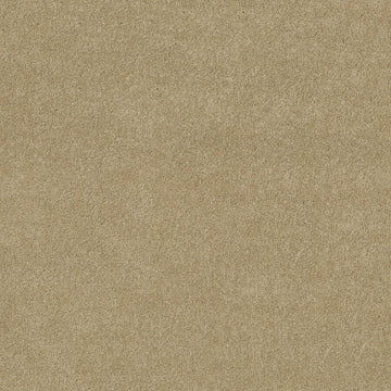 Field Stone