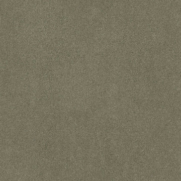 Silver Sage