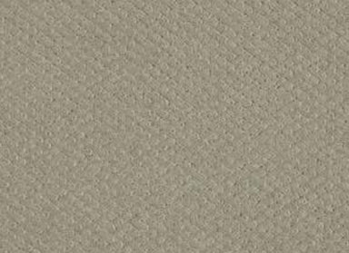 Departure in Gray Flannel Carpet