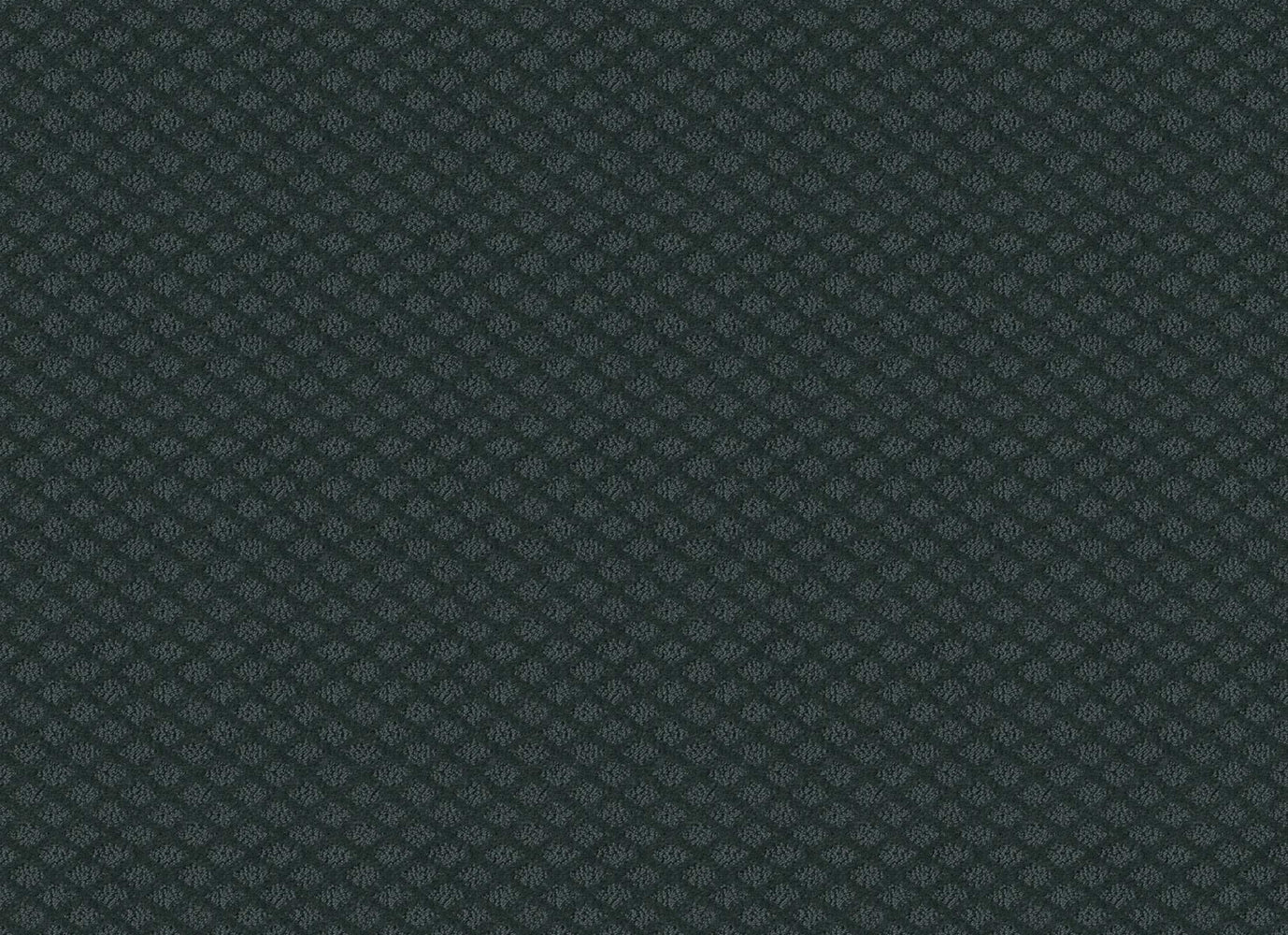 Go Beyond in Indigo Carpet