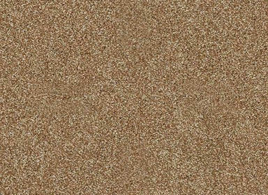 Canvas in Leather Bound Carpet