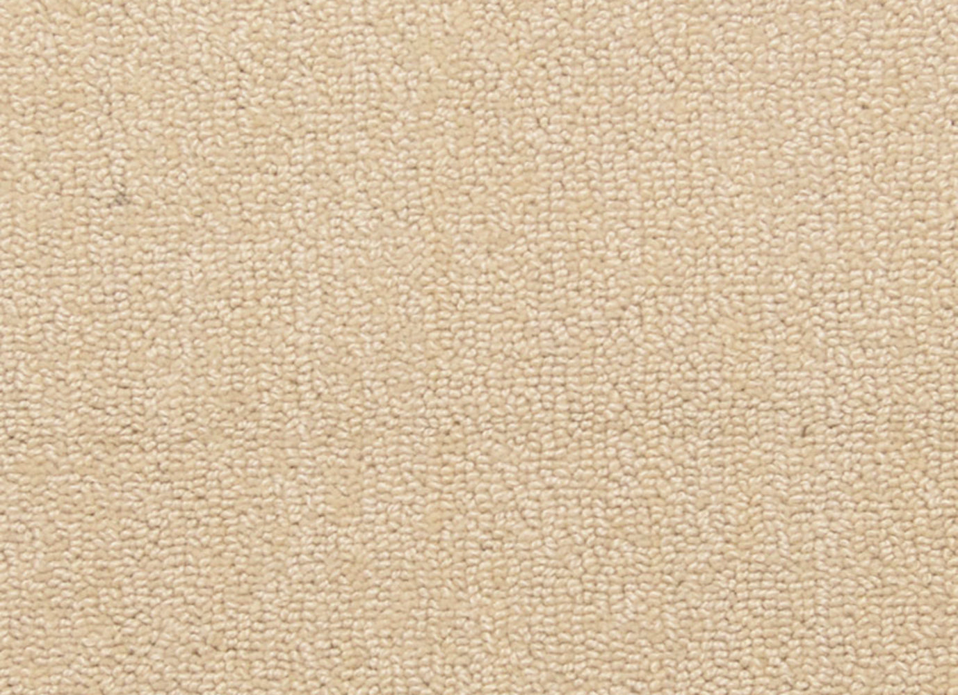 Pure in Virtuous Carpet